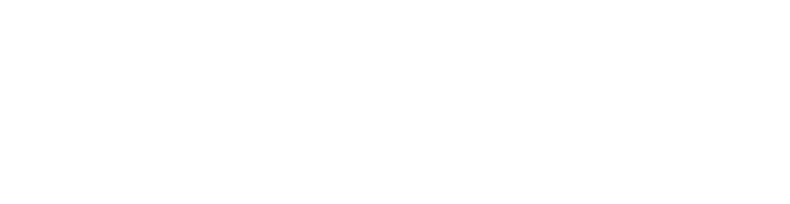 The Financial Comission Logo